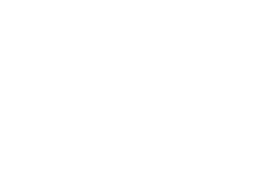 Inhouse-Schulung Bildschirm mit Person, die eine Schulung hält