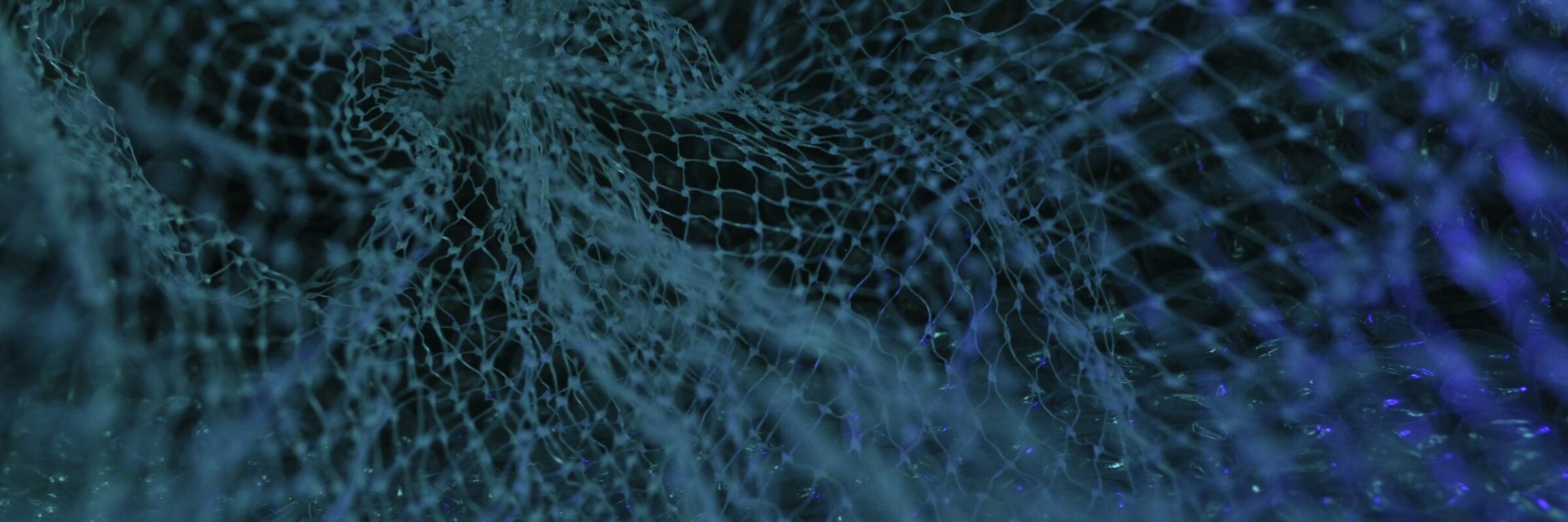 Netz aus Daten Netz aus Daten