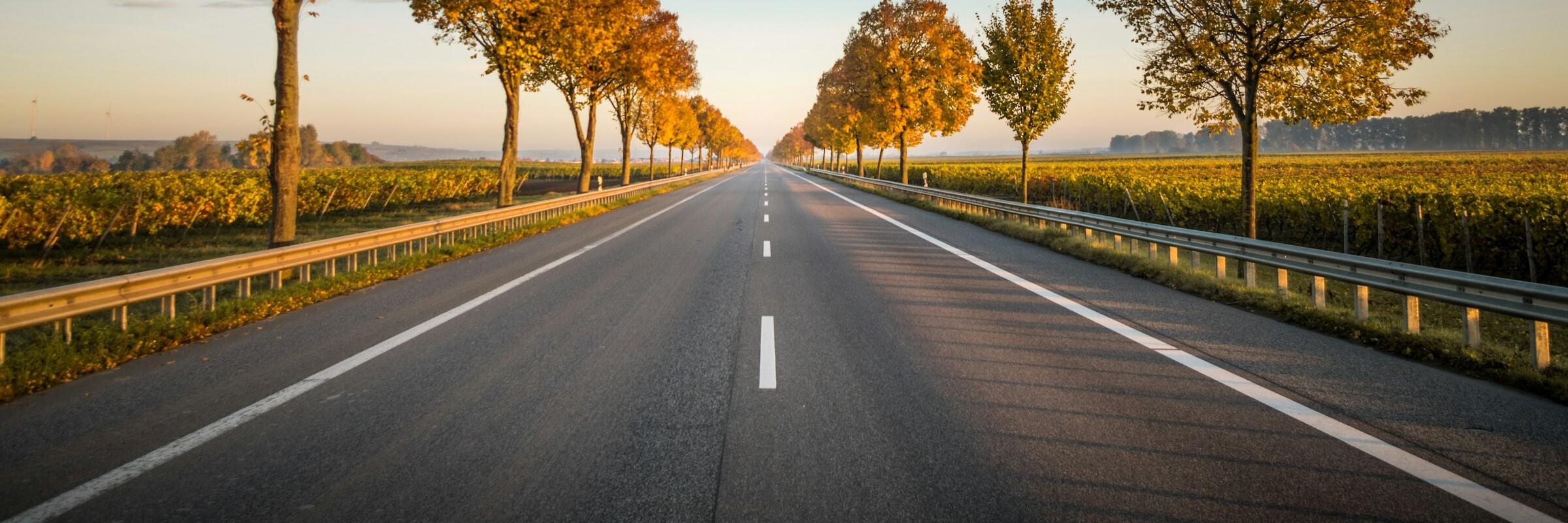Straße Eine gerade Straße, auf beiden Seiten stehen Bäume in herbstlicher Färbung