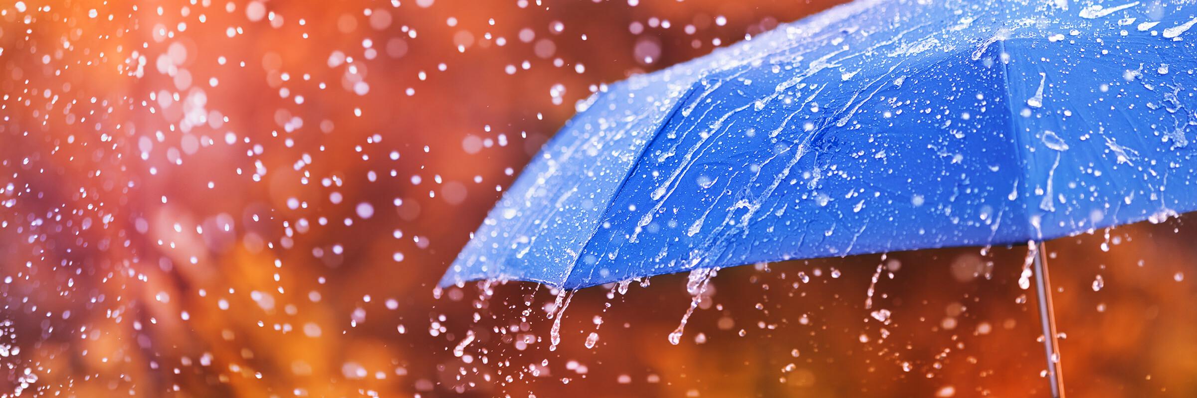 Regenschirm Regenschirm, an dem das Wasser abperlt