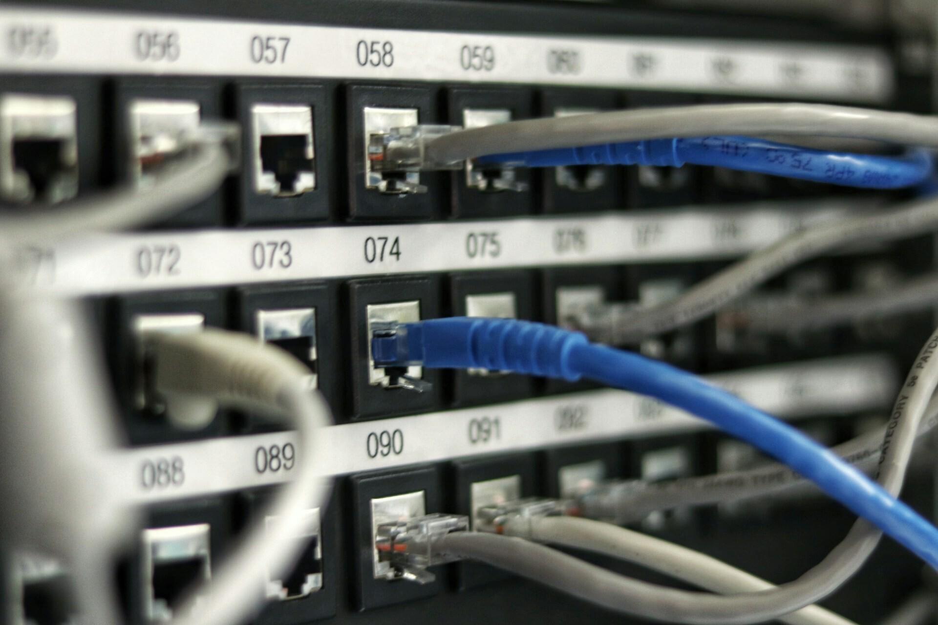 Kabel Several blue and white network cables are plugged into a device and numbered there
